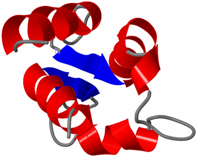 Image NMR Structure - model 1