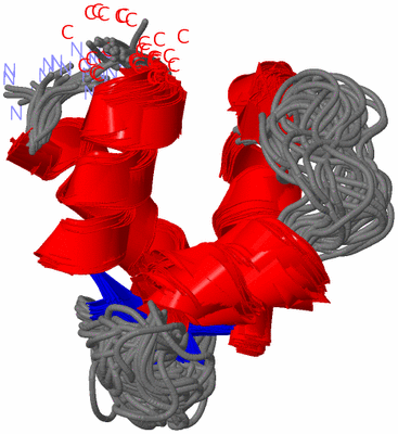 Image NMR Structure - all models