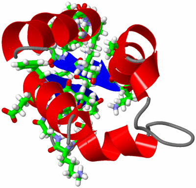 Image NMR Structure - model 1, sites