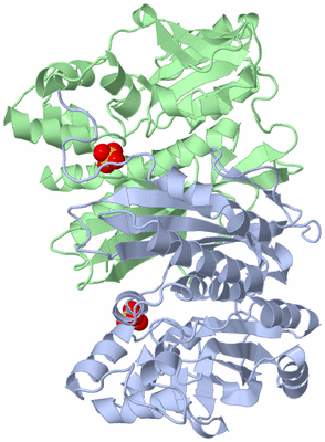 Image Biological Unit 3