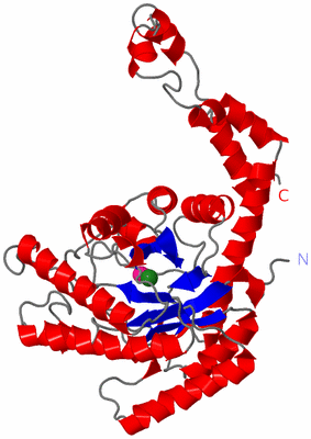 Image Asymmetric Unit