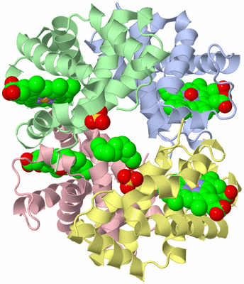 Image Asym./Biol. Unit