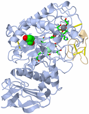 Image Asym./Biol. Unit - sites