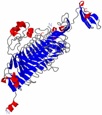 Image Asymmetric Unit