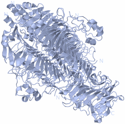 Image Biological Unit 2