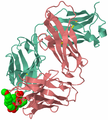 Image Biological Unit 2