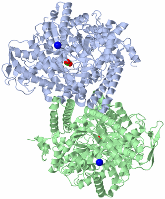 Image Asym./Biol. Unit