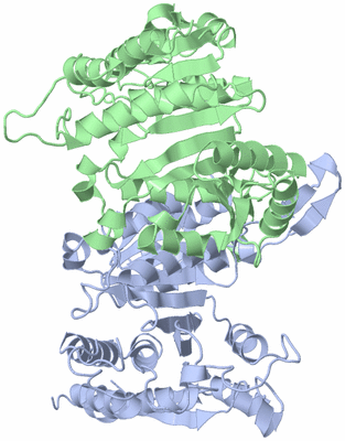 Image Asym./Biol. Unit