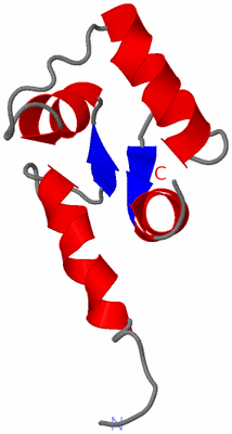 Image NMR Structure - model 1