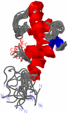 Image NMR Structure - all models