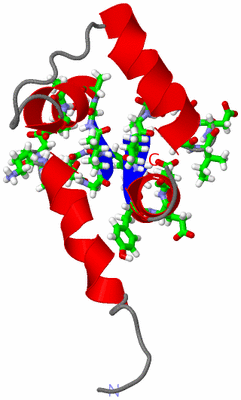 Image NMR Structure - model 1, sites