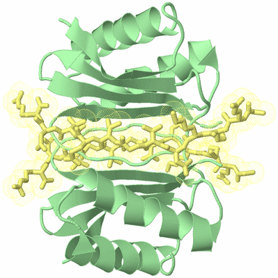 Image Biological Unit 3