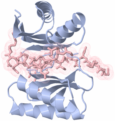 Image Biological Unit 4