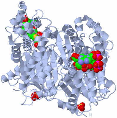 Image Biological Unit 1