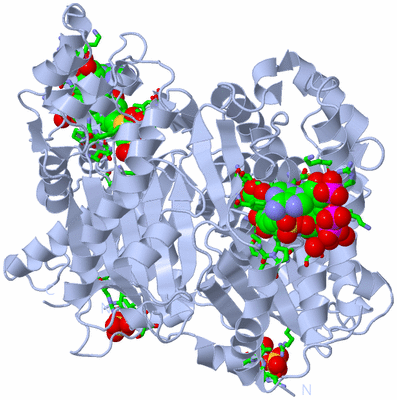 Image Biol. Unit 1 - sites