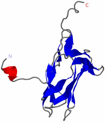 Image NMR Structure - model 1