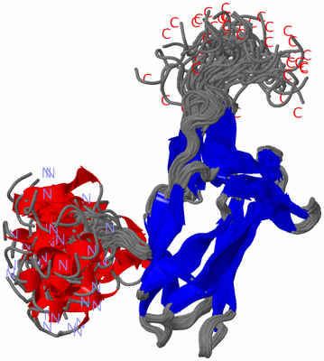 Image NMR Structure - all models