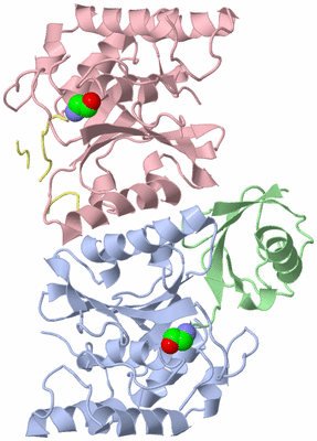 Image Asym./Biol. Unit