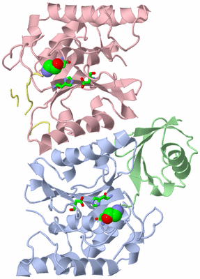 Image Asym./Biol. Unit - sites