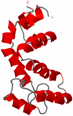 Image NMR Structure - model 1