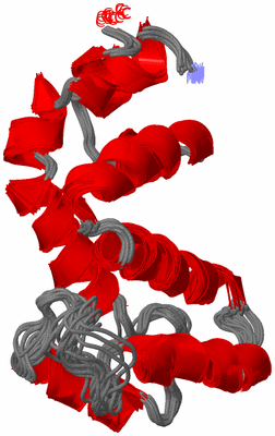 Image NMR Structure - all models