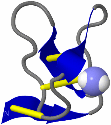 Image NMR Structure - model 1