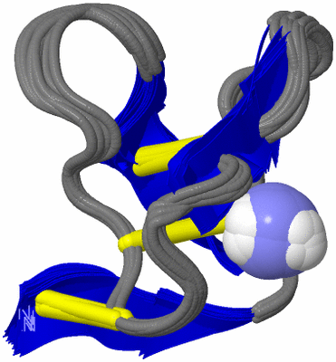 Image NMR Structure - all models