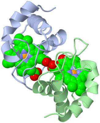 Image Biological Unit 1