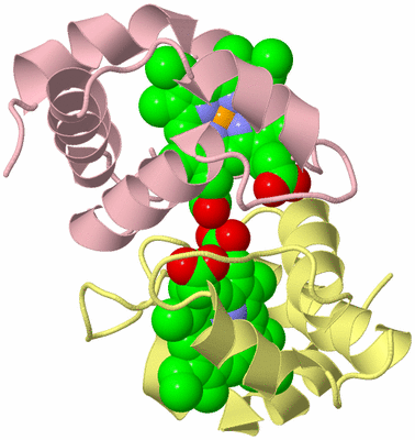 Image Biological Unit 2