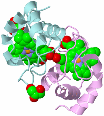 Image Biological Unit 3