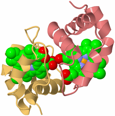 Image Biological Unit 4