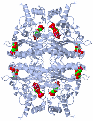 Image Biological Unit 1