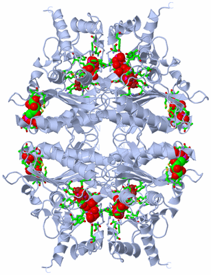 Image Biol. Unit 1 - sites