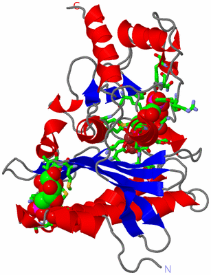 Image Asym. Unit - sites