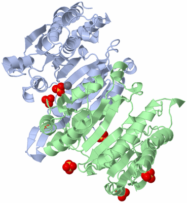 Image Asym./Biol. Unit