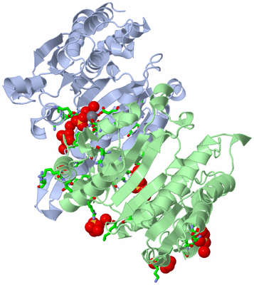 Image Asym./Biol. Unit - sites