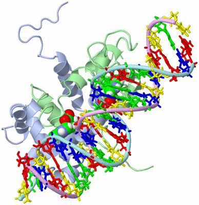 Image NMR Structure - model 1