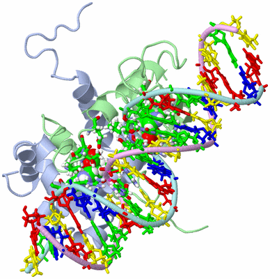 Image NMR Structure - model 1, sites