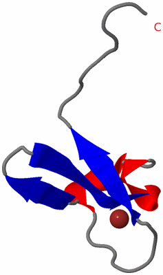 Image NMR Structure - model 1
