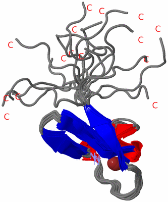 Image NMR Structure - all models