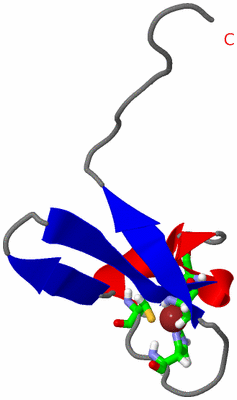 Image NMR Structure - model 1, sites