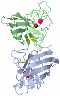 Image Asym./Biol. Unit