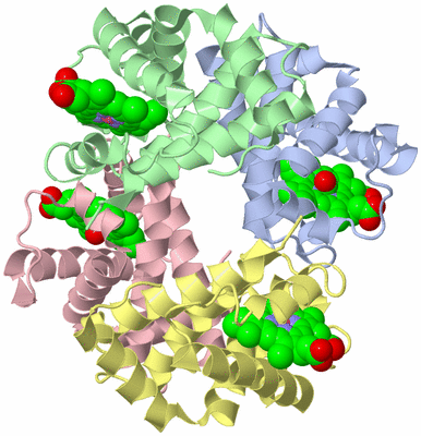 Image Asym./Biol. Unit