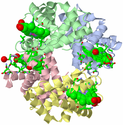 Image Asym./Biol. Unit - sites