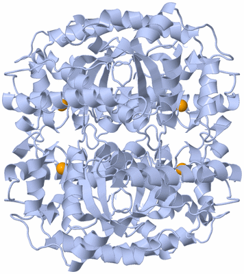 Image Biological Unit 1