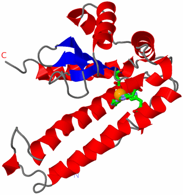 Image Asym. Unit - sites