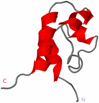 Image NMR Structure - model 1