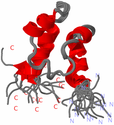 Image NMR Structure - all models