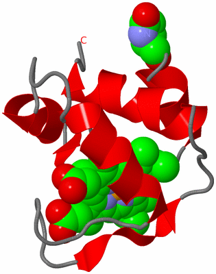 Image NMR Structure - model 1