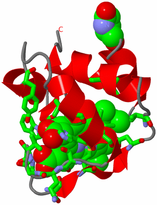 Image NMR Structure - model 1, sites